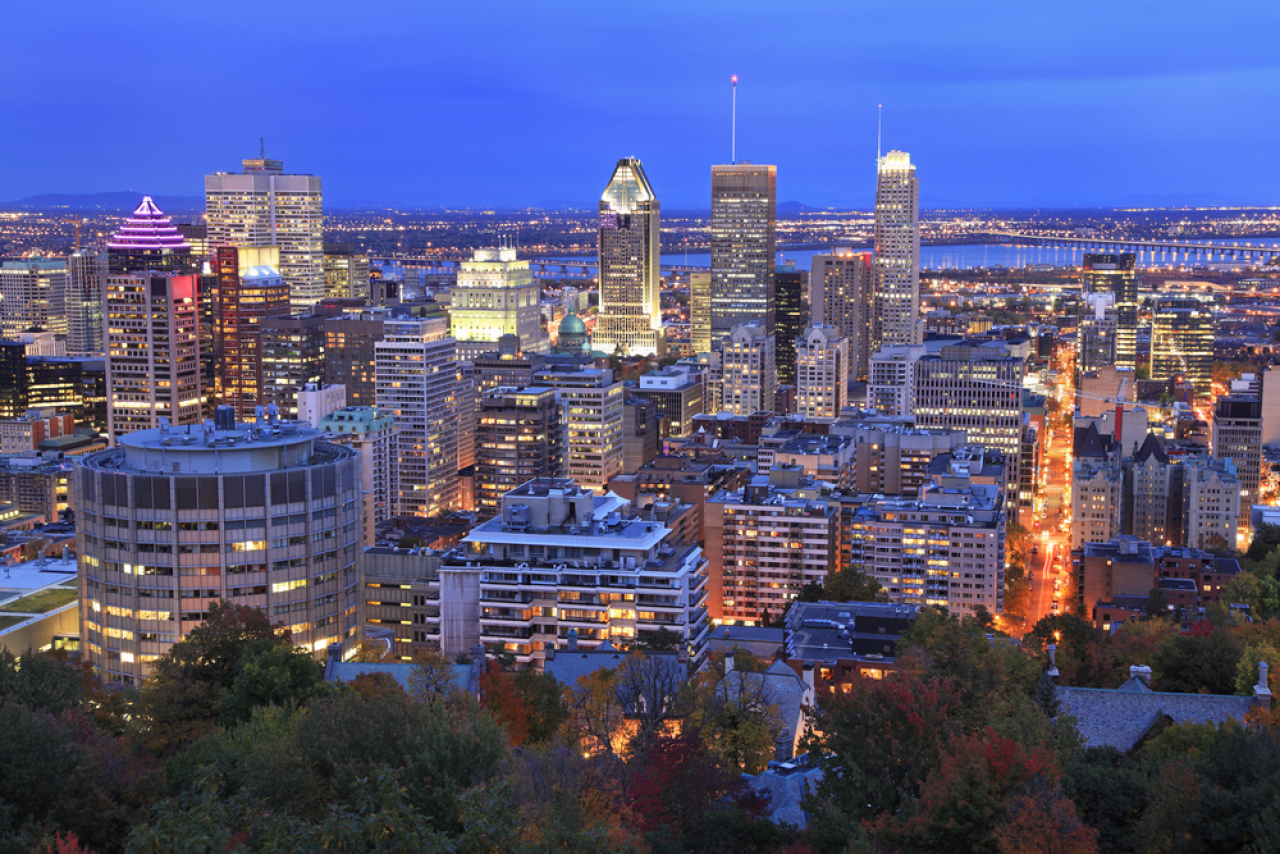 Consensus Conference On Duodenal Switch This Summer In Montreal.